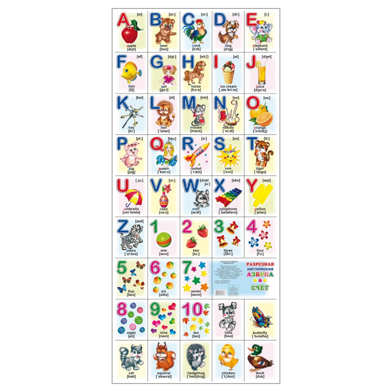 Плакат на картоне Азбука и счет английская разрезная,94х40см.,9785912823183 Алфея 1622279 978-5-91282-318-3