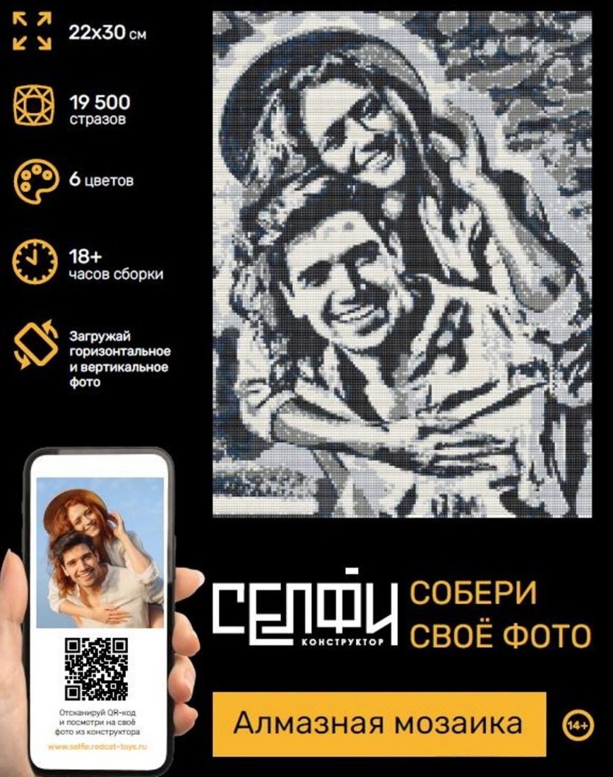 Алмазная мозаика Селфиконструктор Классик, 22х30, 6 цветов Рыжий Кот СКА-2452