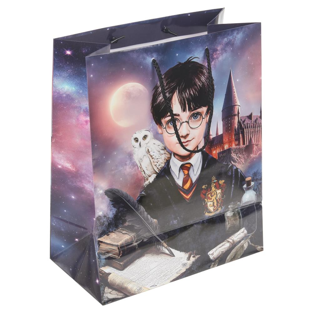 Пакет подарочный глянцевый L "Школа волшебства", 140 гр/м Чудо праздник PL-130553-HP