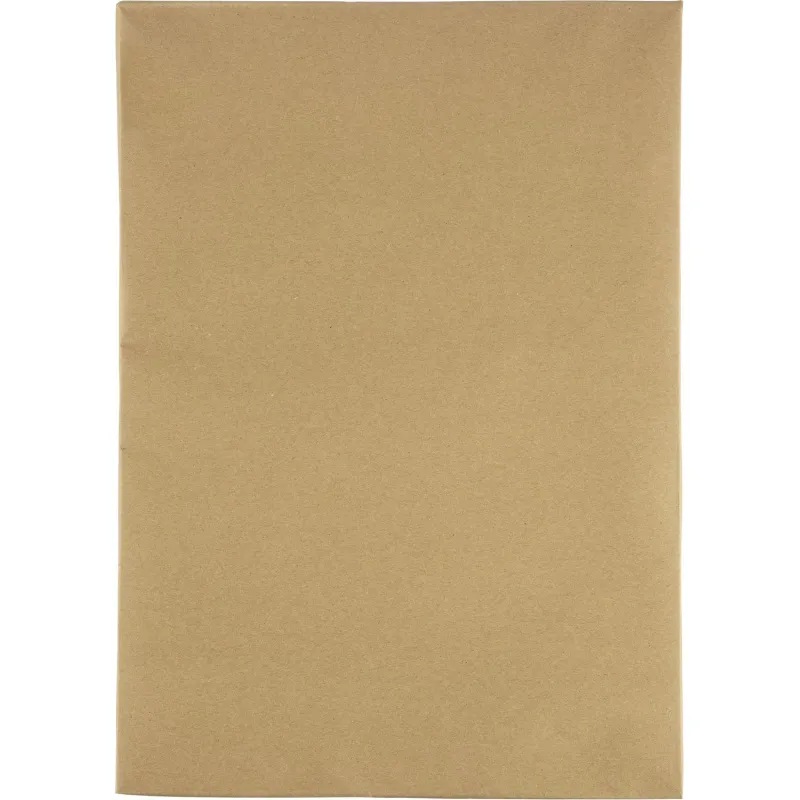 Картон для подшивки докум.Выбор есть А3 немелован.260 г/м2 100л/уп.крафт 1966532