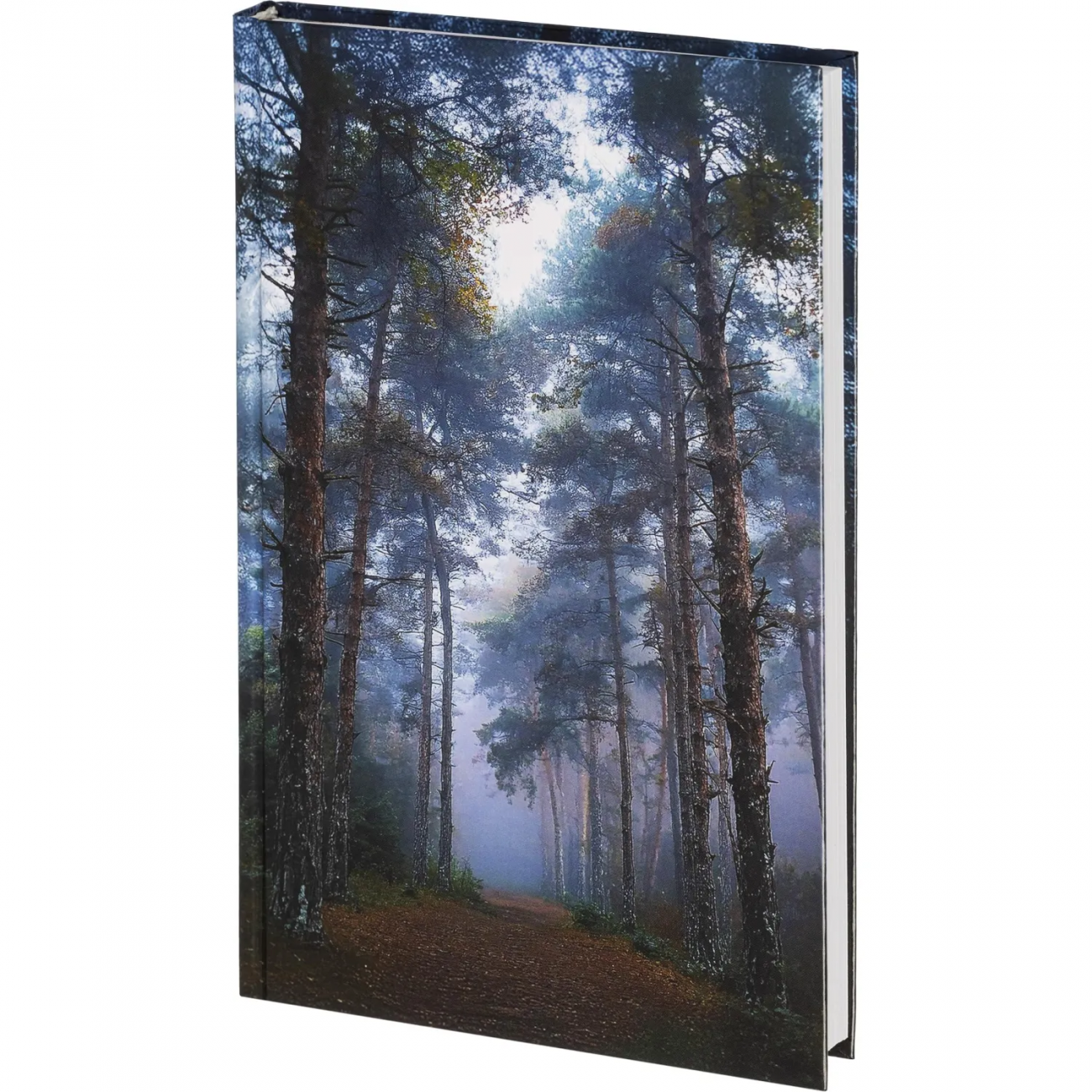 Ежедневник недатированный 7БЦ, пленка глянц. А5,128л, Выбор есть, Тайга 2362816