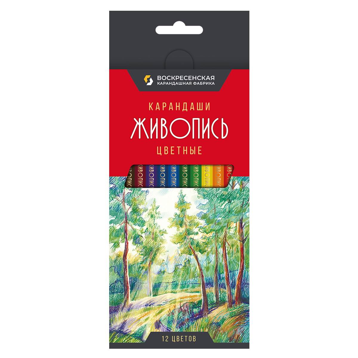 Набор цветных карандашей ВКФ Живопись, заточенный 12 цветов JIV-CP-1012