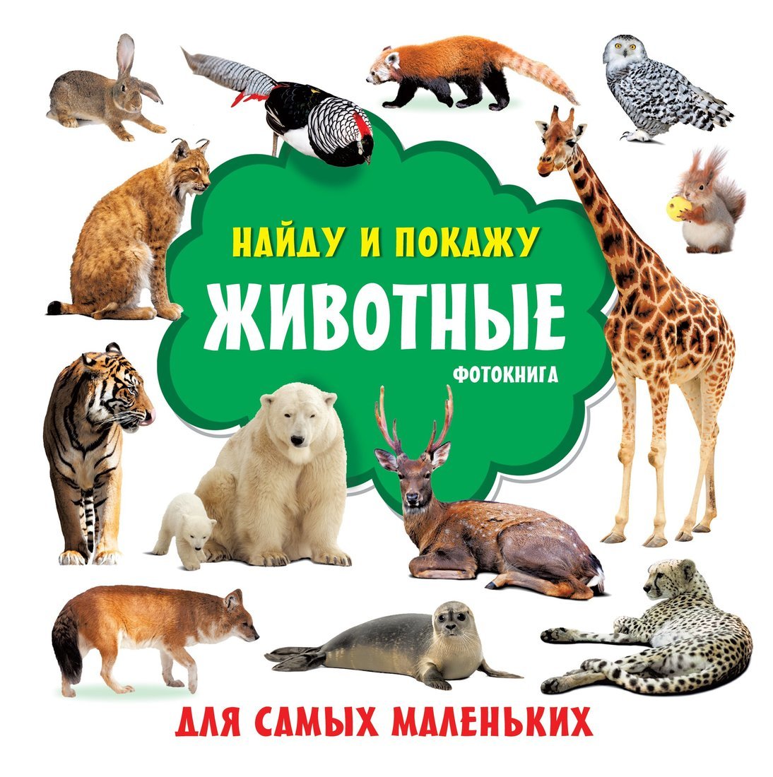 Книжка Животные фотокнига АСТ 7258-3