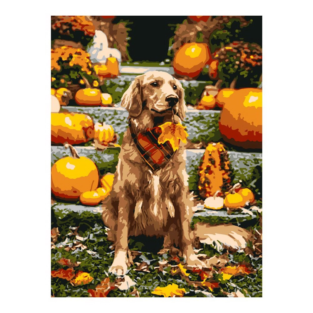 Набор д/творчества LORI Картина по номерам на картоне Собака 40х50 см Кпн-302