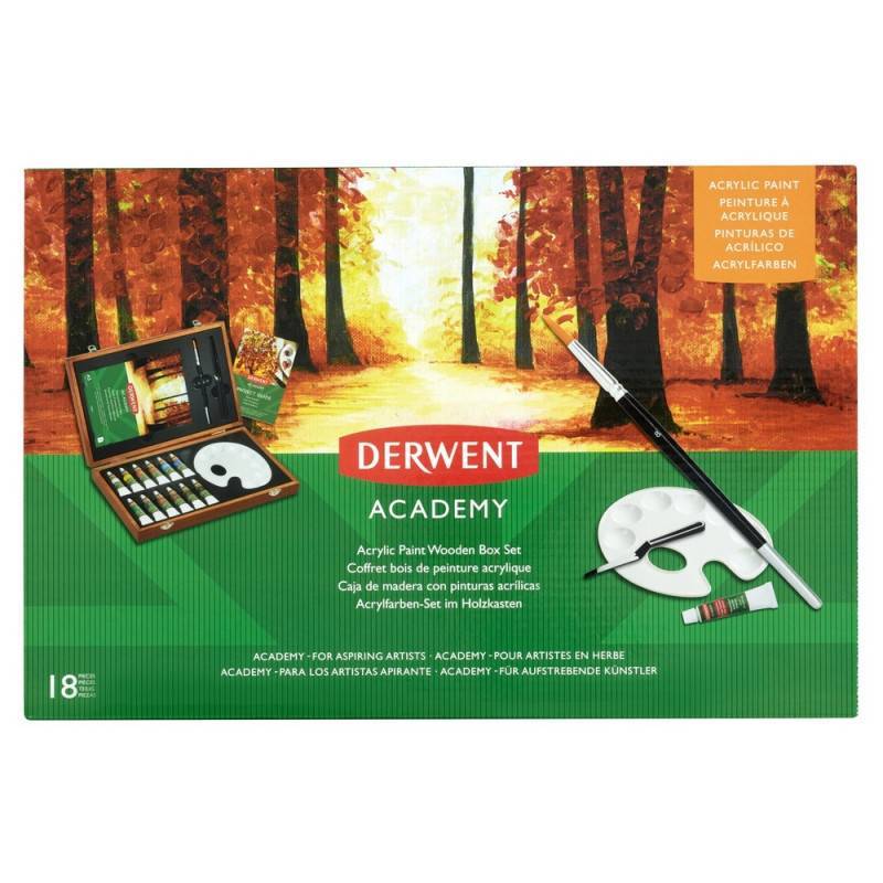 Набор с акриловыми красками Derwent Academy 12 цветов (18 предметов) 2305674 1222258