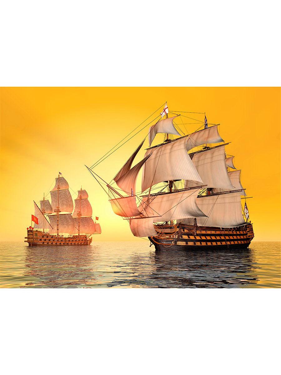 Холст с красками по номерам Рыжий кот Корабли в море на закате 40х50. Х-2768