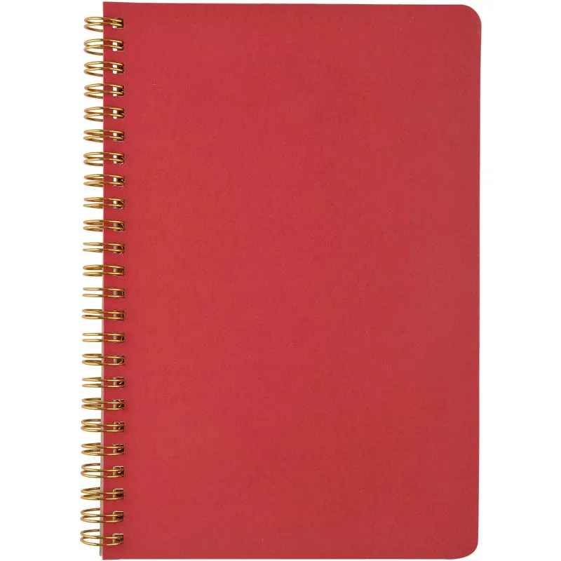 Бизнес-тетрадь А5 60л клет BrunoVisconti PRAGMATIC красн,греб 7-60-1255/05 Bruno Visconti 1984481