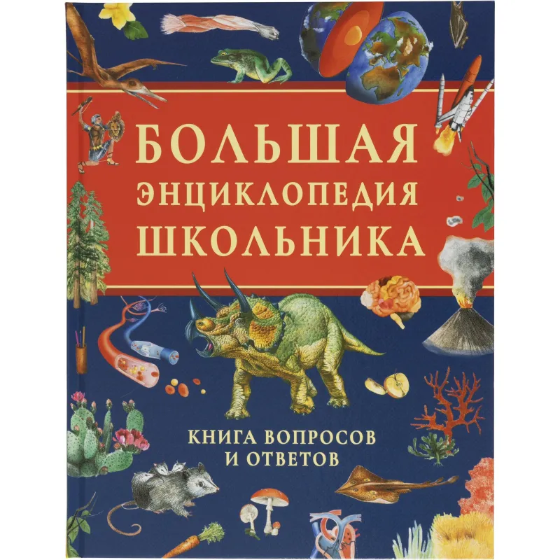 Энциклопедия школьника .Книга вопросов и ответов, 63934 Росмэн 2261029