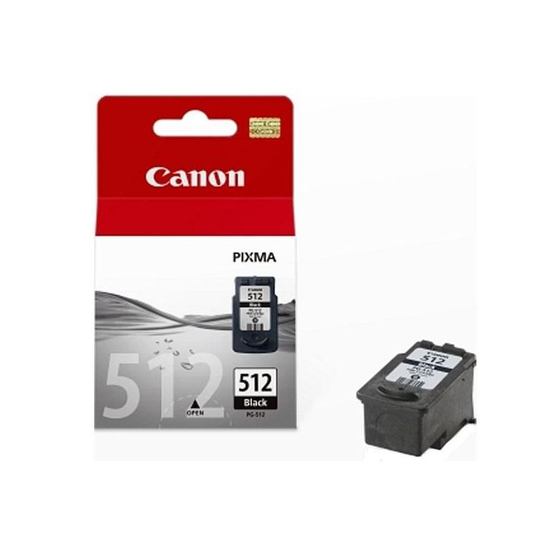 Картридж струйный Canon PG-512 (2969B007/2969B001)чер для MP240/250/260/270 159260