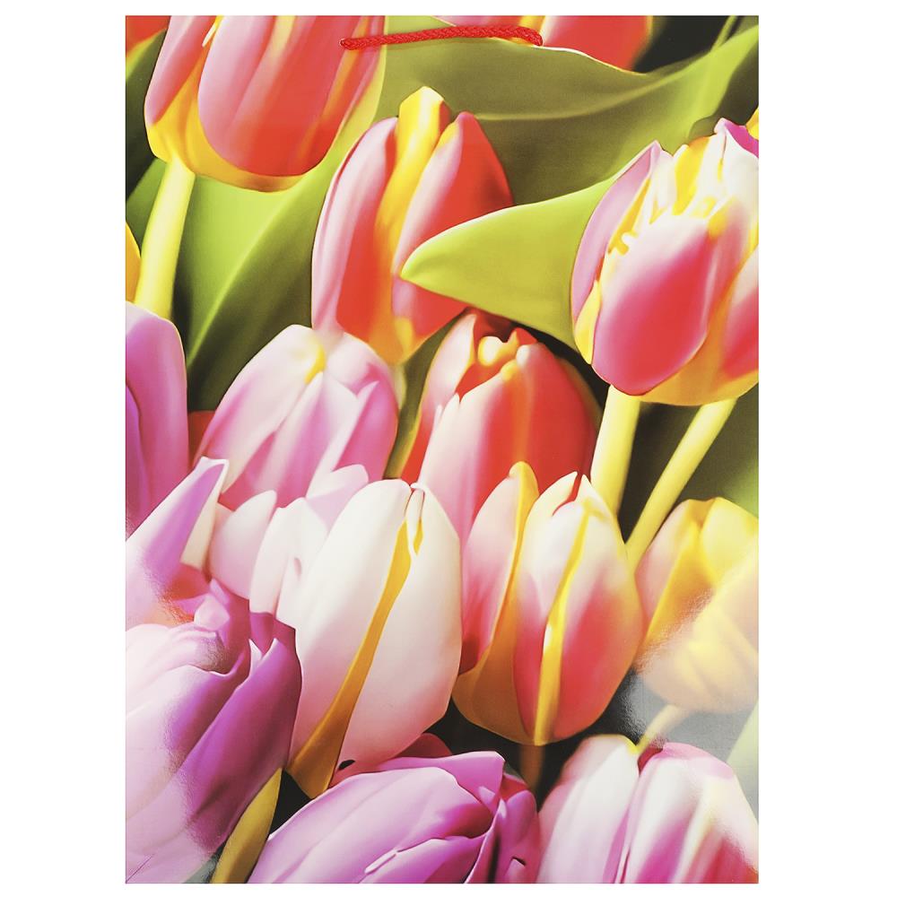 Пакет глянцевый Xl, подарочный, 33х45х15 см. Чудо праздник PXL-104473-FLWR1