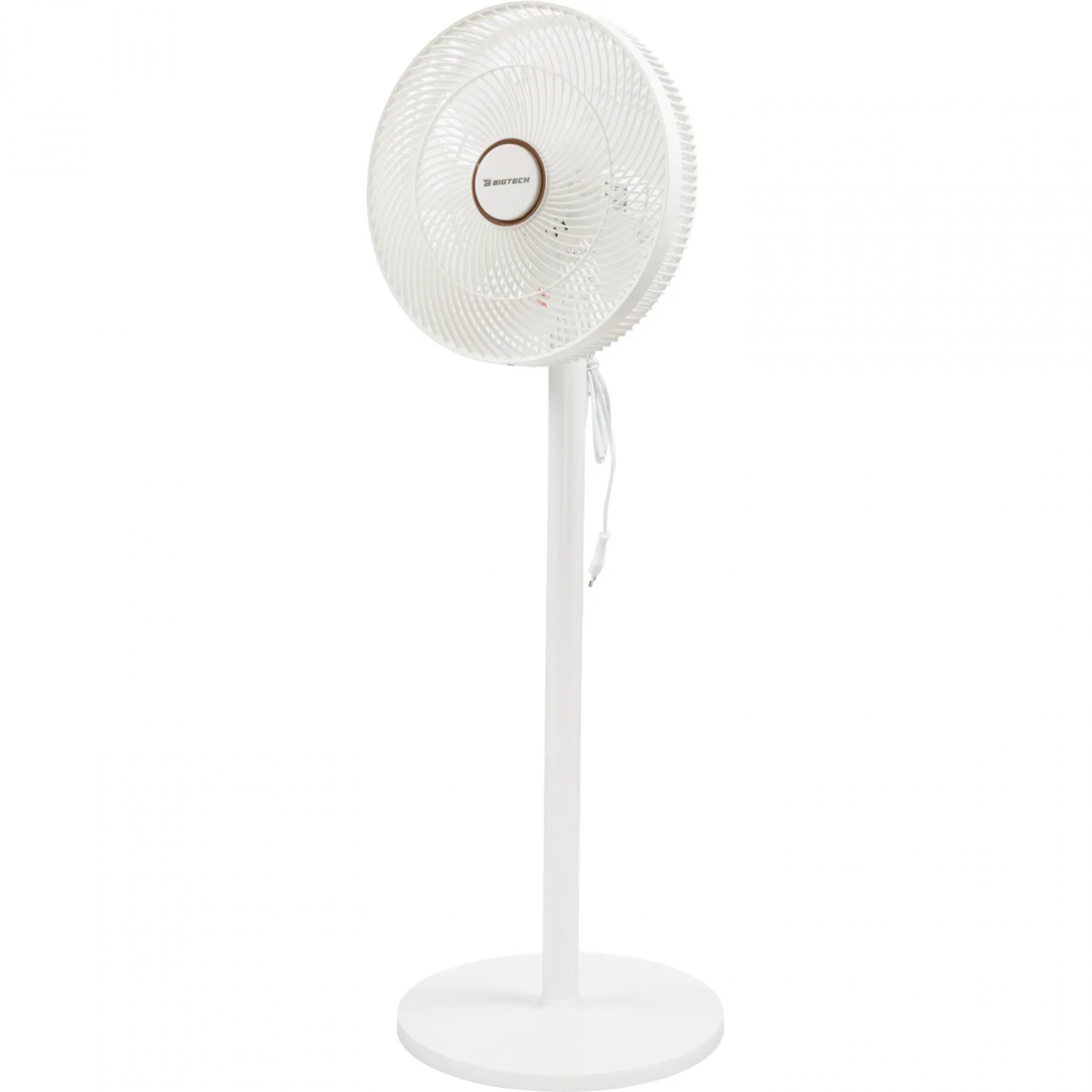 Вентилятор напольный BigTech WBF002 с пультом 2160064 FSD-1211E