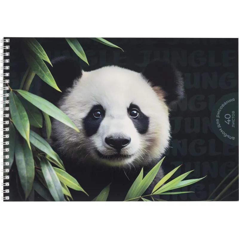 Альбом д/рисования Комус Класс Дикие животные,А4,40л,спираль,в асс,2шт/уп 2263162