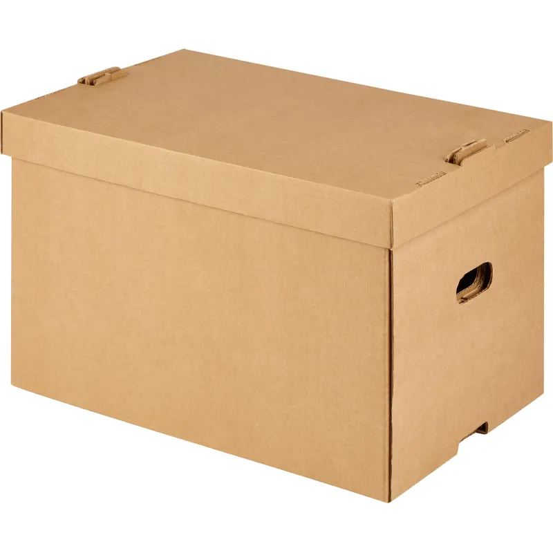 Короб архивный Выбор есть 519х341х323мм Т23 съемная крышка 2193612