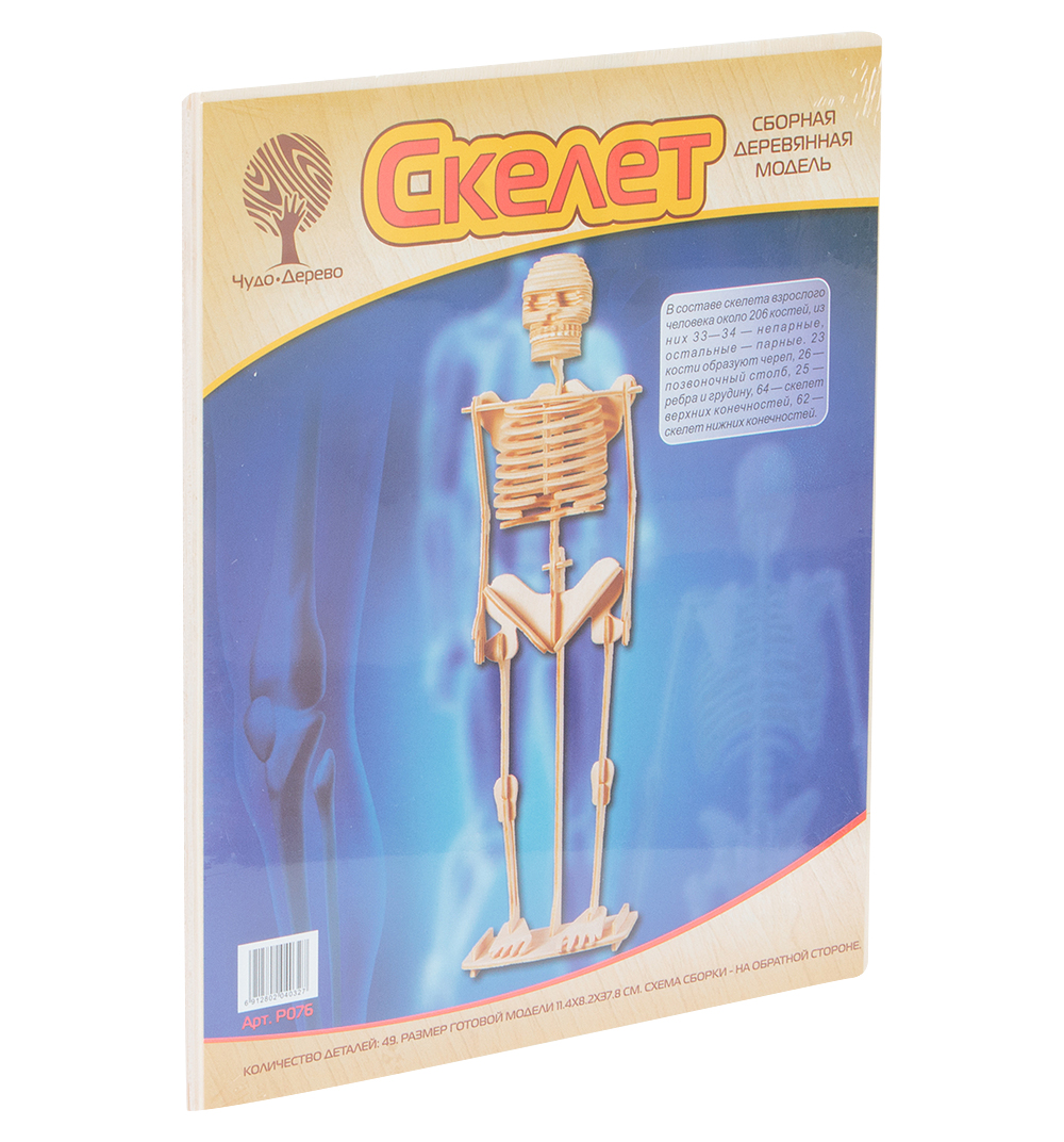 Скелет человека, деревянная сборная модель Wooden Toys P076