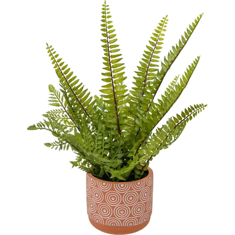 Цветок искусств. Папоротник керам горшке, Д120 Ш120 В420,Mia12 Вещицы 2020948