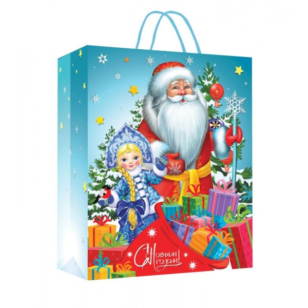 Пакет для подарка размер Ml, 22х31х10 см. глянцевый Чудо праздник PML-102388-NG1