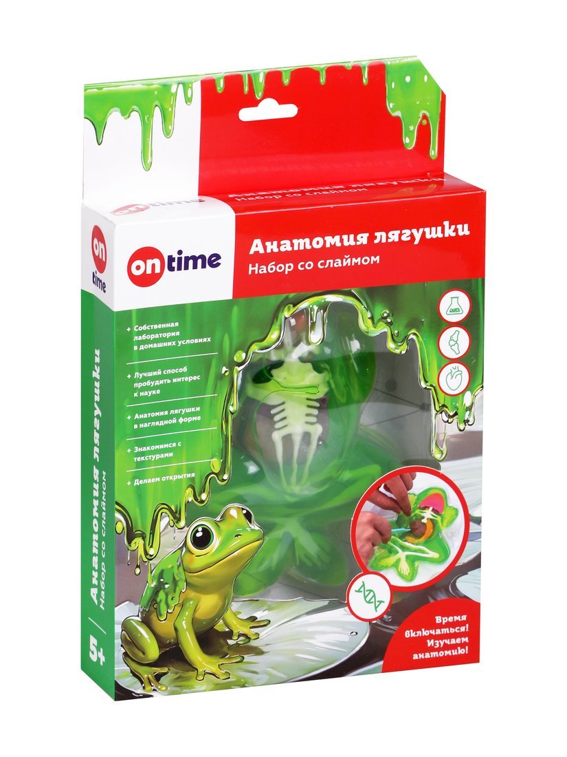 Набор со слаймом "Анатомия лягушки" ON TIME 45281