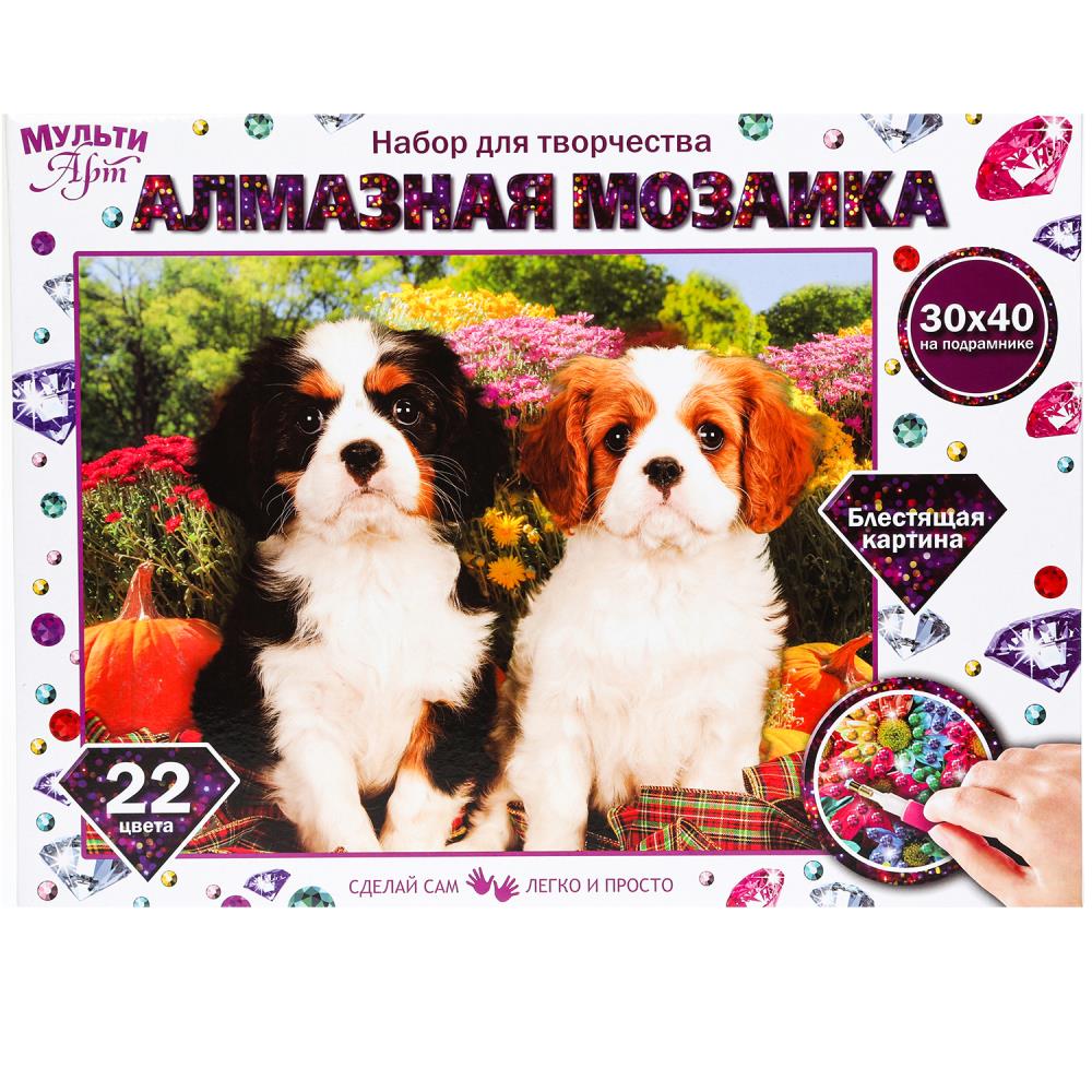 Алмазная мозаика 30х40 см. с подрамником две собаки MultiArt AM30X40-DVESOB