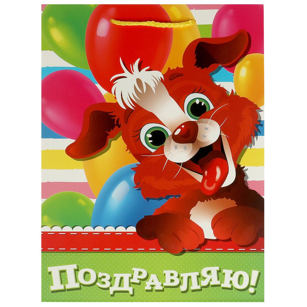 Пакет подарочный детский, матовый ML, 22х31х10 см. Чудо праздник PML-102959-PZDR