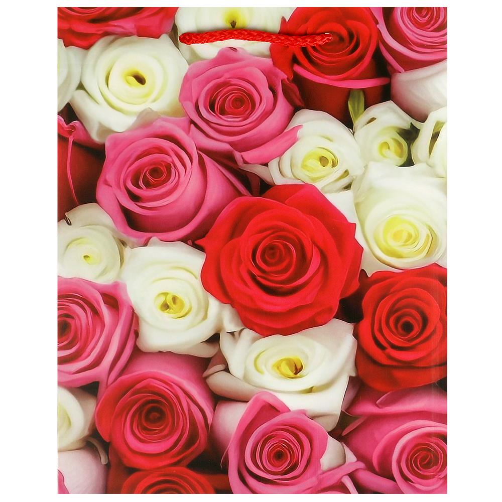 Пакет подарочный матовый m, 18х23х10 см. праздничный Чудо праздник PM-104398-FLWR2