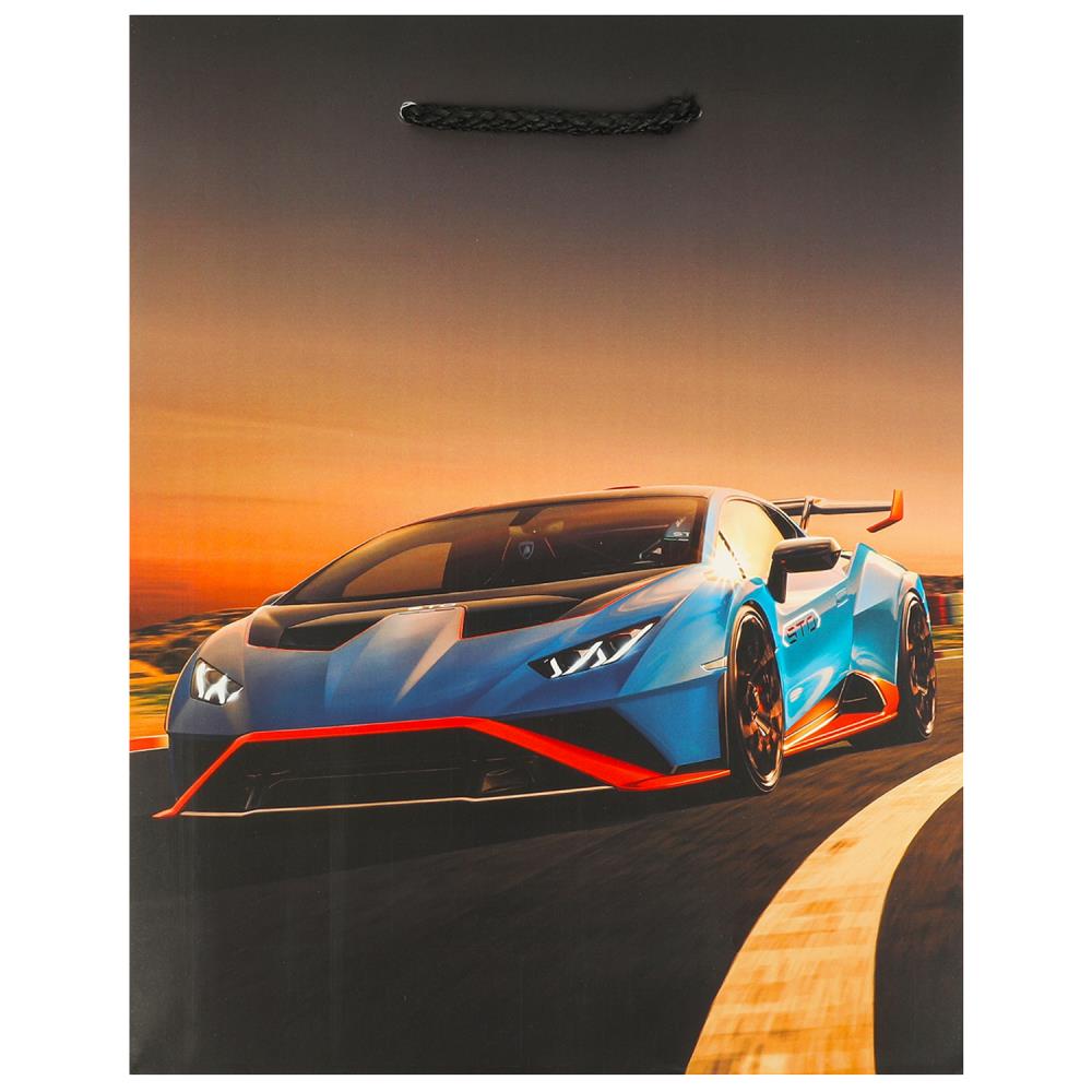 Пакет подарочный матовый m, 18х23х10 см. на праздник Чудо праздник PM-102337-LG