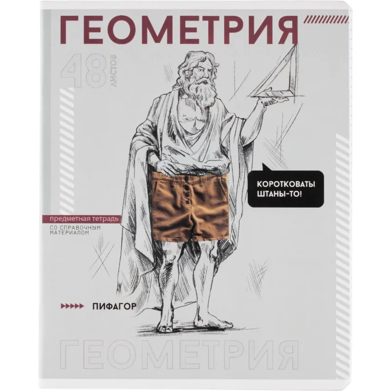 Тетрадь предметная ГЕОМЕТРИЯ ЯРКИЕ ДЕТАЛИ /48 л. А5+,клетка/67538 Феникс+ 2224483