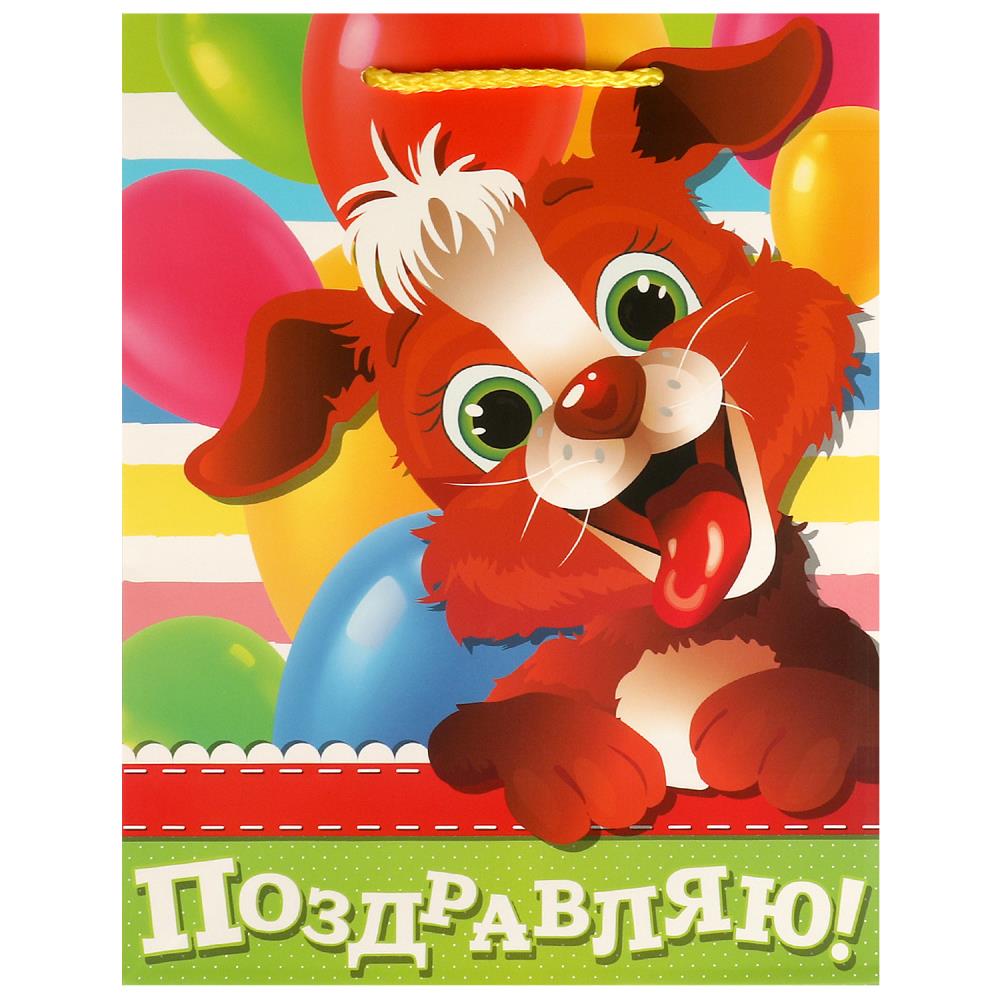 Пакет подарочный m, 18х22,7х10 см. матовый Чудо праздник PM-102958-PZDR