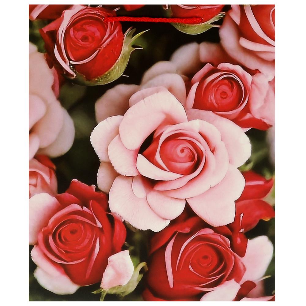 Пакет подарочный матовый L, 26х32х14 см. детский Чудо праздник PL-104857-FLWR3