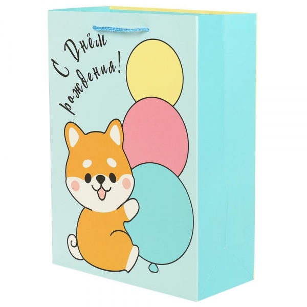 Пакет подарочный Ml, 22х31х10 см. матовый Чудо праздник PML-108855-C2HB (120)