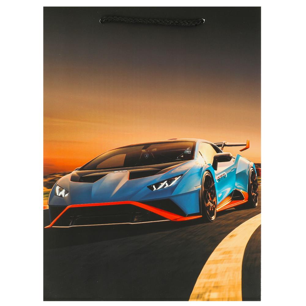 Пакет подарочный матовый ML, 22х31х10 см. для мальчика Чудо праздник PML-102344-LG