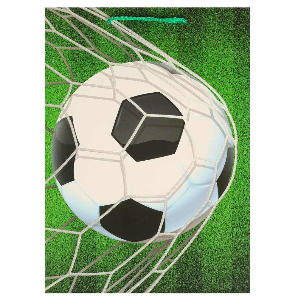 Пакет для подарка ML, матовый, 22х31х10 см. Чудо праздник PML-107419-FB