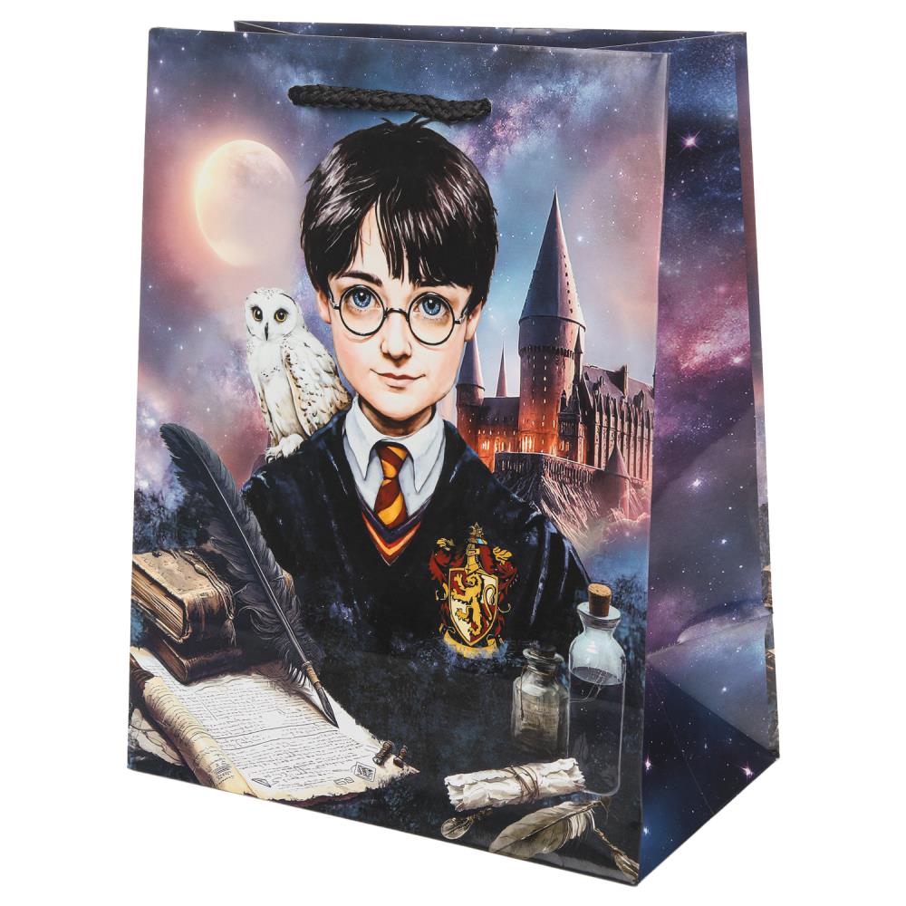 Пакет подарочный глянцевый М, "Школа волшебства", 140 гр/м Чудо праздник PM-130551-HP