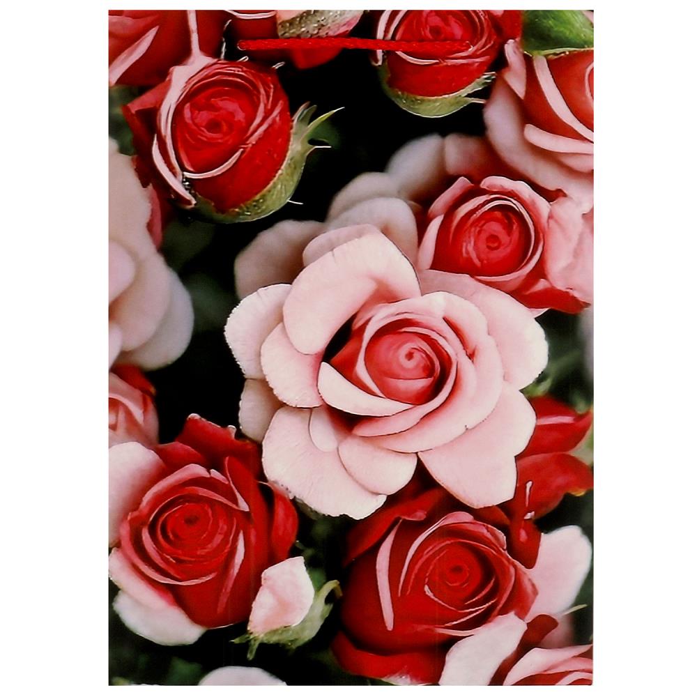 Пакет подарочный матовый средний ML, 22х31х10 см. Чудо праздник PML-104465-FLWR3