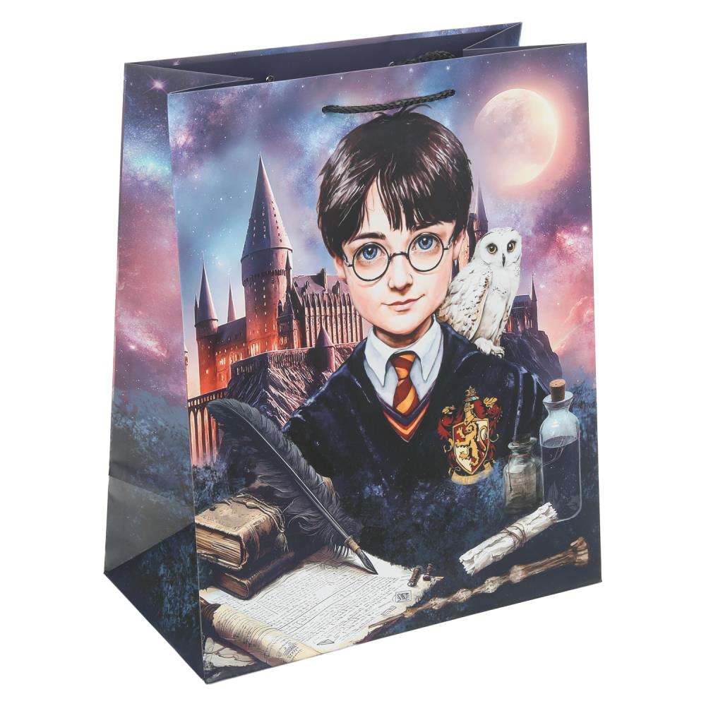 Пакет подарочный матовый L "Школа волшебства", 140 гр/м Чудо праздник PL-130218-HP