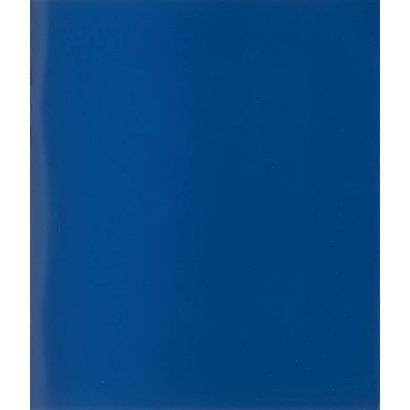 Тетрадь общая А5 96 листов в клетку на скрепке (обложка синяя) 916920