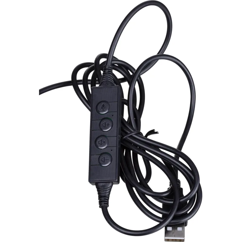 Гарнитура HWH002 проводные с микрофоном USB 2.0/регулятор/2м BigTech 1853679 302012003295587