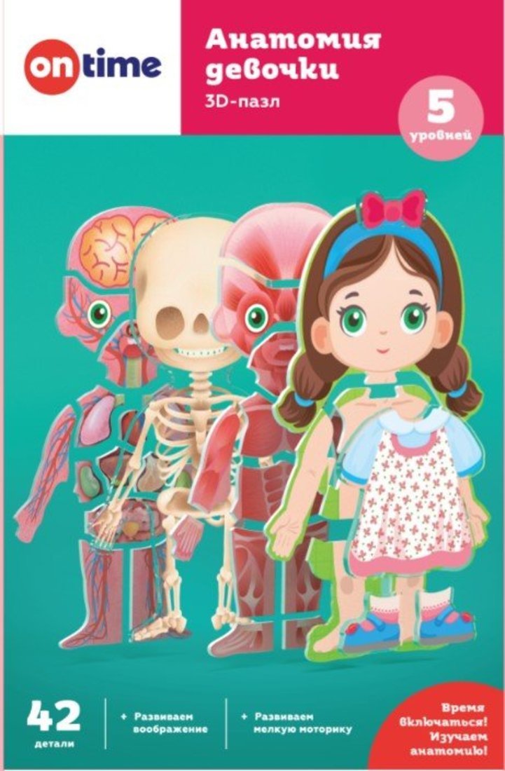 3Д обучающие пазлы для детей " Анатомия девочки". ON TIME 45210