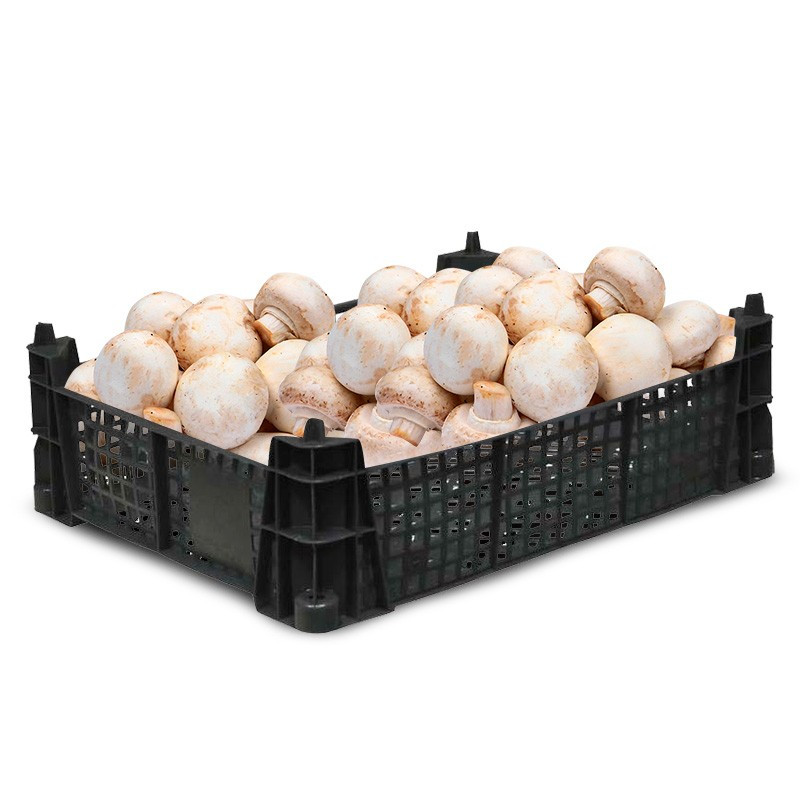 Ящик для грибов шампиньонов 400x300x110_черный арт.101 990452