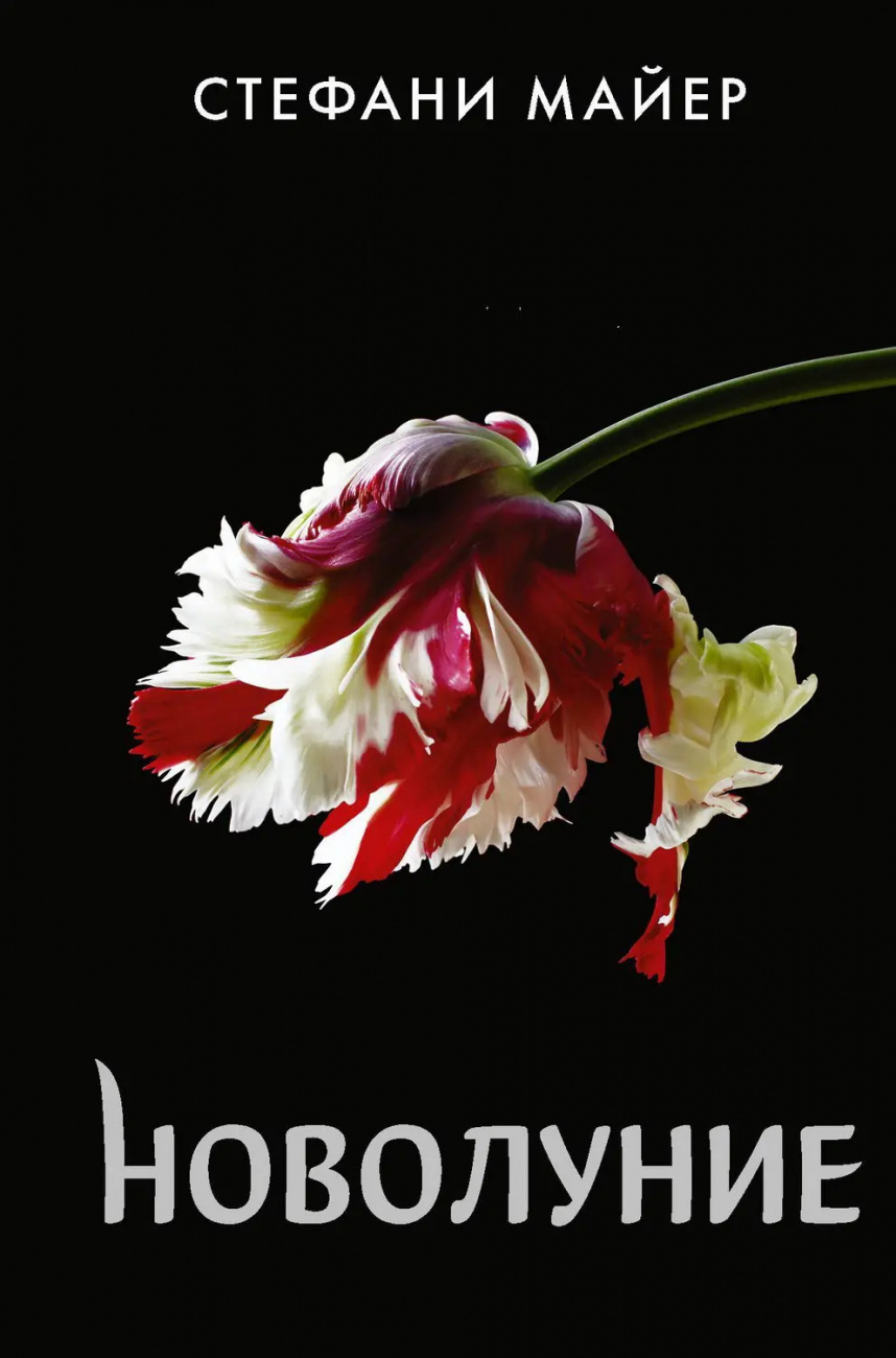 Книга АСТ Новолуние Стефани Майер 136623-0