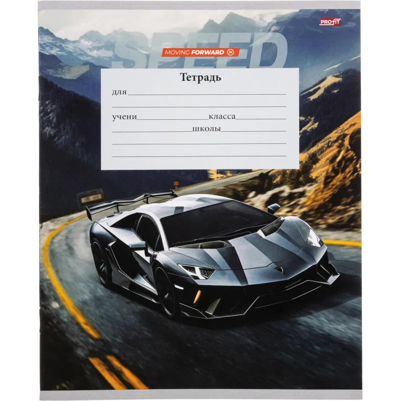 Тетрадь линия 12л. Авто и пэйзаж, ассорти, 2 (12-5571) Profit 2243220