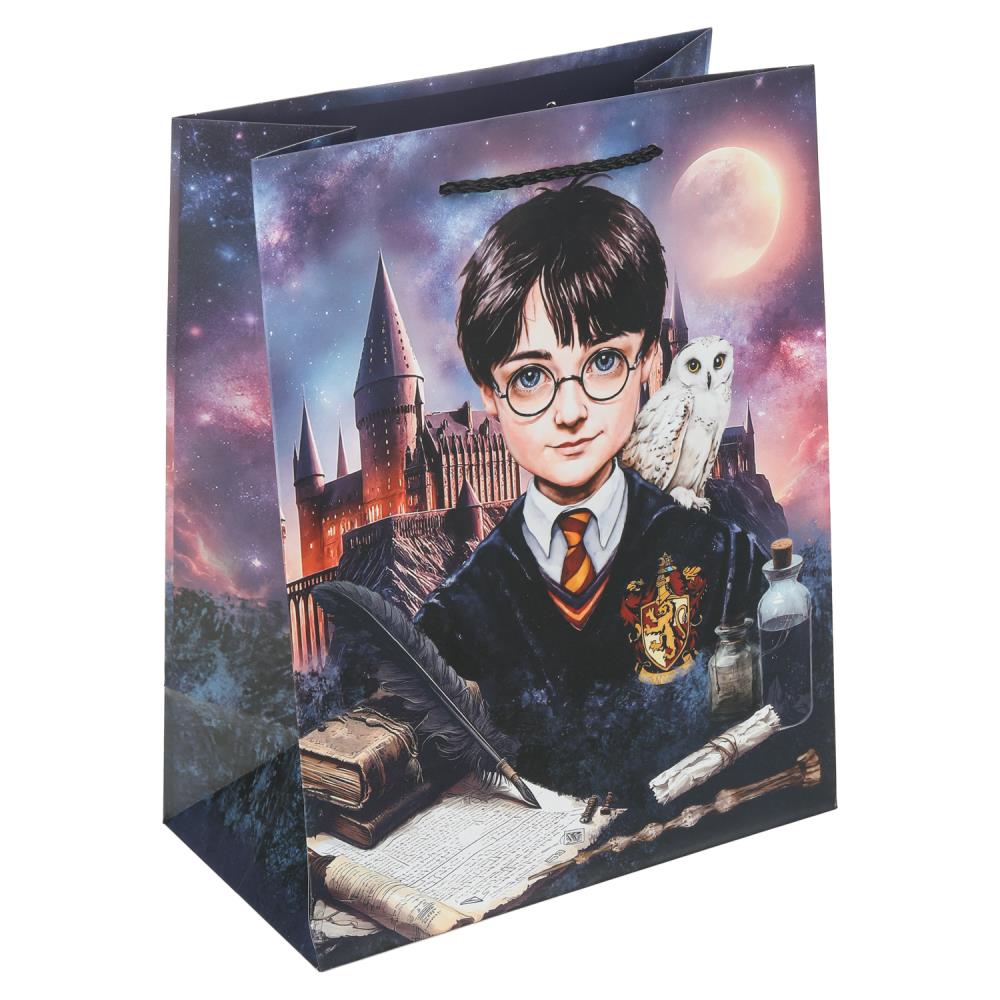 Пакет подарочный матовый М, "Школа волшебства", 140 гр/м Чудо праздник PM-130216-HP