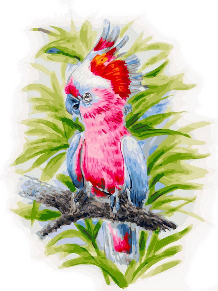 Картина по номерам на холсте "Розовый попугай" 30х40 см. Белоснежка 361-AS