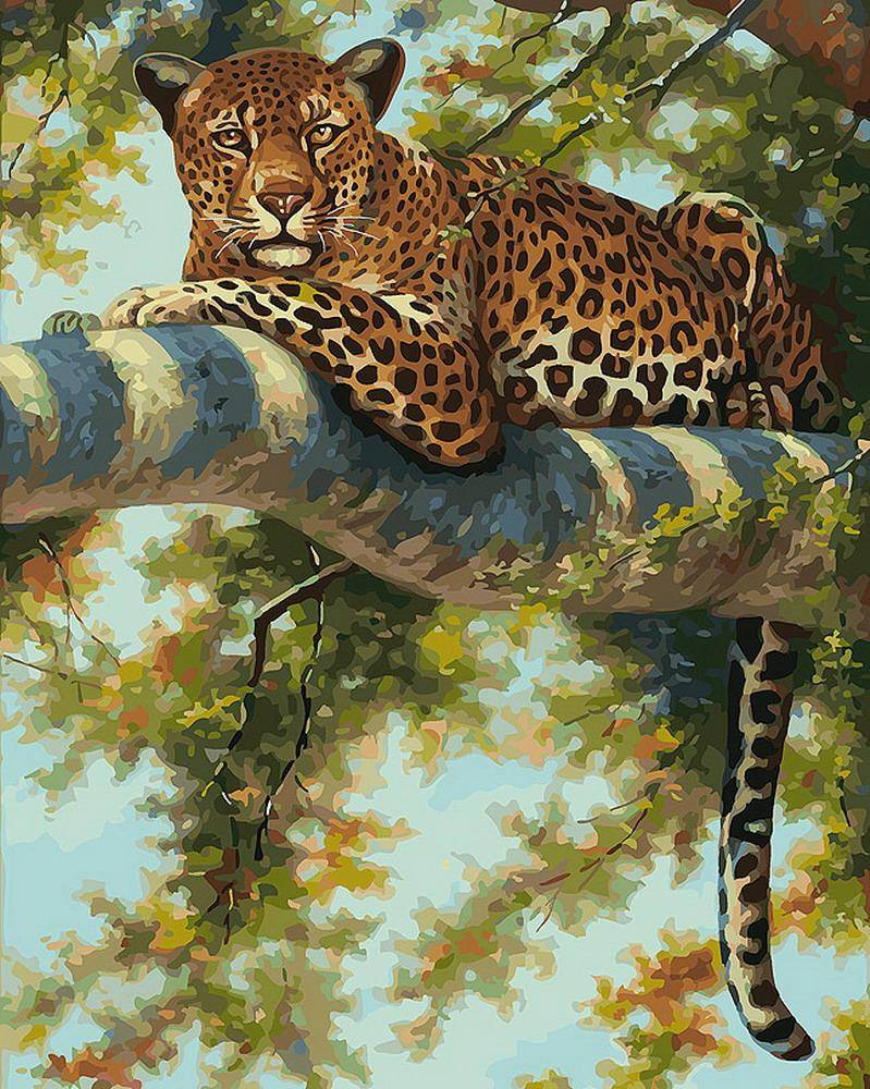 Картина по номерам на холсте "Леопард в тени ветвей" 40х50 см. Белоснежка 276-AB