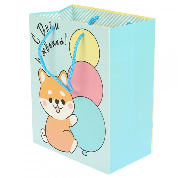 Пакет для подарка, матовый размер M, 18х23х10 см. Чудо праздник PM-108854-C2HB (144)