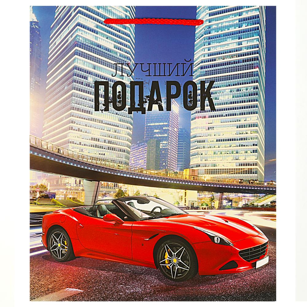 Пакет подарочный глянцевый большой L, 26х32х14 см. Чудо праздник PL-97436-SC