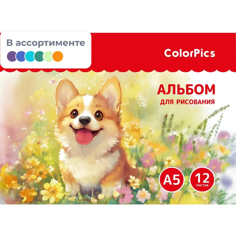 Альбом д/рисования Комус Класс ColorPics, А5, 12 листов, скрепка в асс 2263169