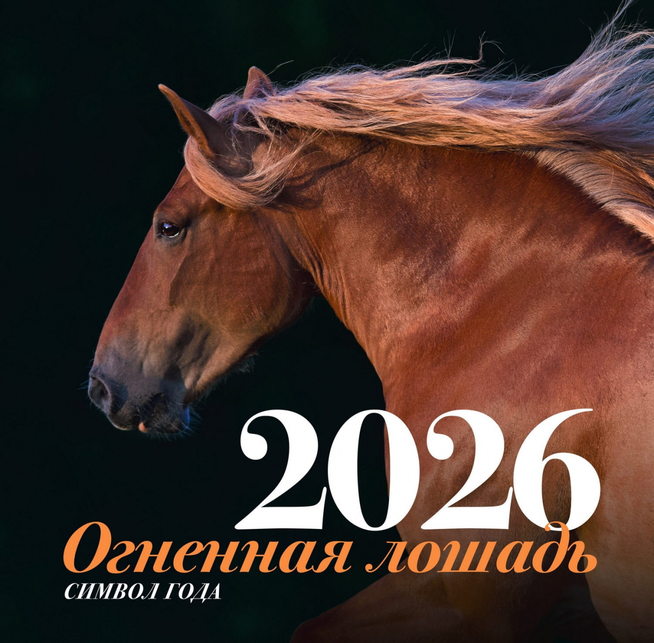 Календарь настенный АСТ на 2026 год Символ года Огненная лошадь 176923-9
