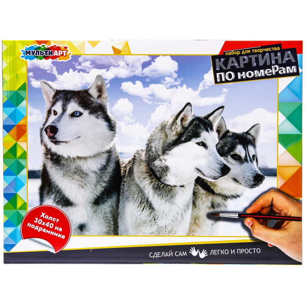 Картина по номерам 30х40 см. лайки MultiArt CANV30X40-MULTI47 (24) (24)
