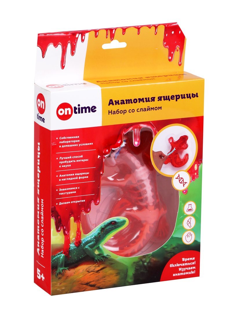 Набор со слаймом "Анатомия ящерицы" ON TIME 45283