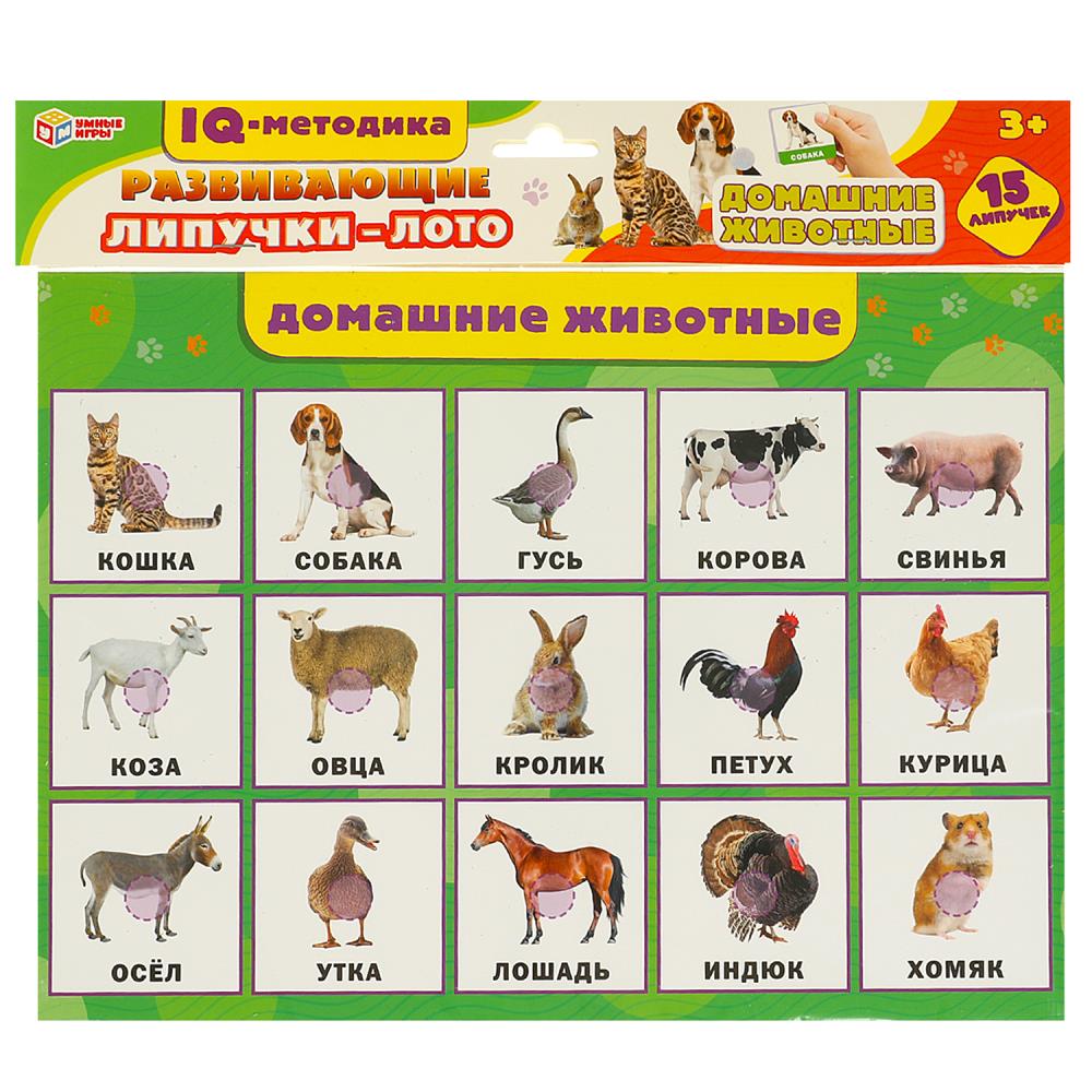 Развивающие липучки-лото "Домашние животные", 15 липучек, 30х26 см. УМка 4660254430495